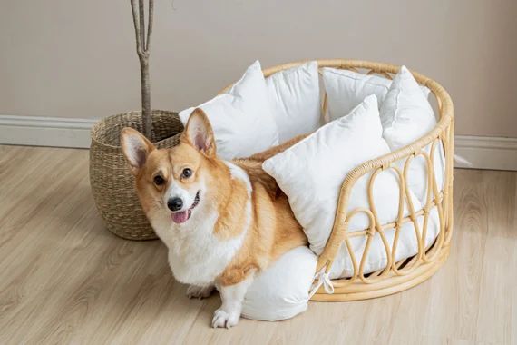 Handmade Wicker Round Cat/small Dog Bed Cushion Cat | Etsy Australia | Etsy (AU)