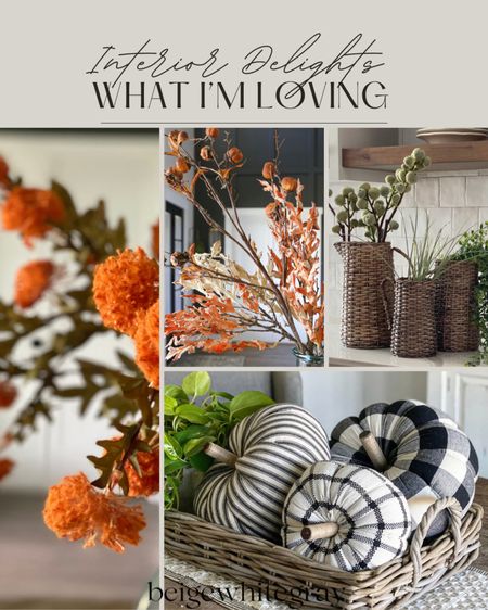 Beautiful fall finds I am loving from Interior Delights!! Such cute finds to add a touch of fall to you home. From my favorite faux fall stems to the woven pitchers and the cute decorative cloth pumpkins. Adorable. 

#LTKhome #LTKFind #LTKSeasonal