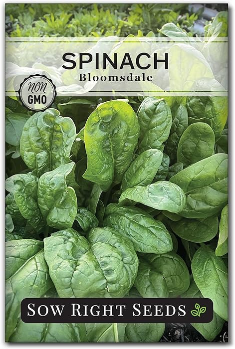 Sow Right Seeds - Bloomsdale Spinach Seeds for Planting - Non-GMO Heirloom Packet with Instructio... | Amazon (US)