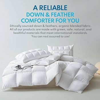 Down Fiber Feather Comforter King Size - All Season Hotel Duvet Insert, Medium Warmth Ultra-Soft ... | Amazon (US)