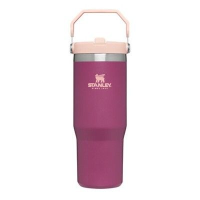 Stanley Iceflow Flip Straw 30 oz Tumbler | Scheels