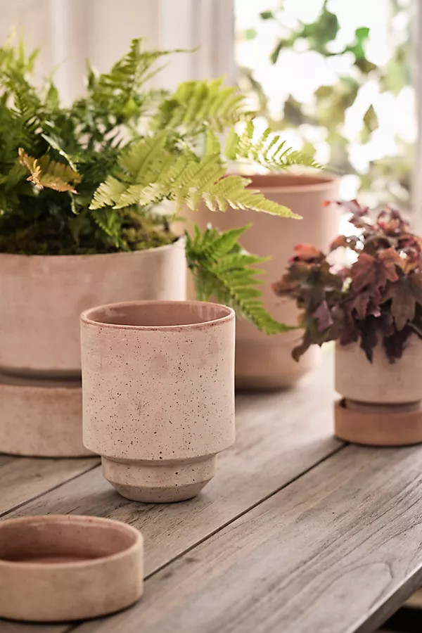 Hoff Terracotta Pot | Anthropologie (US)