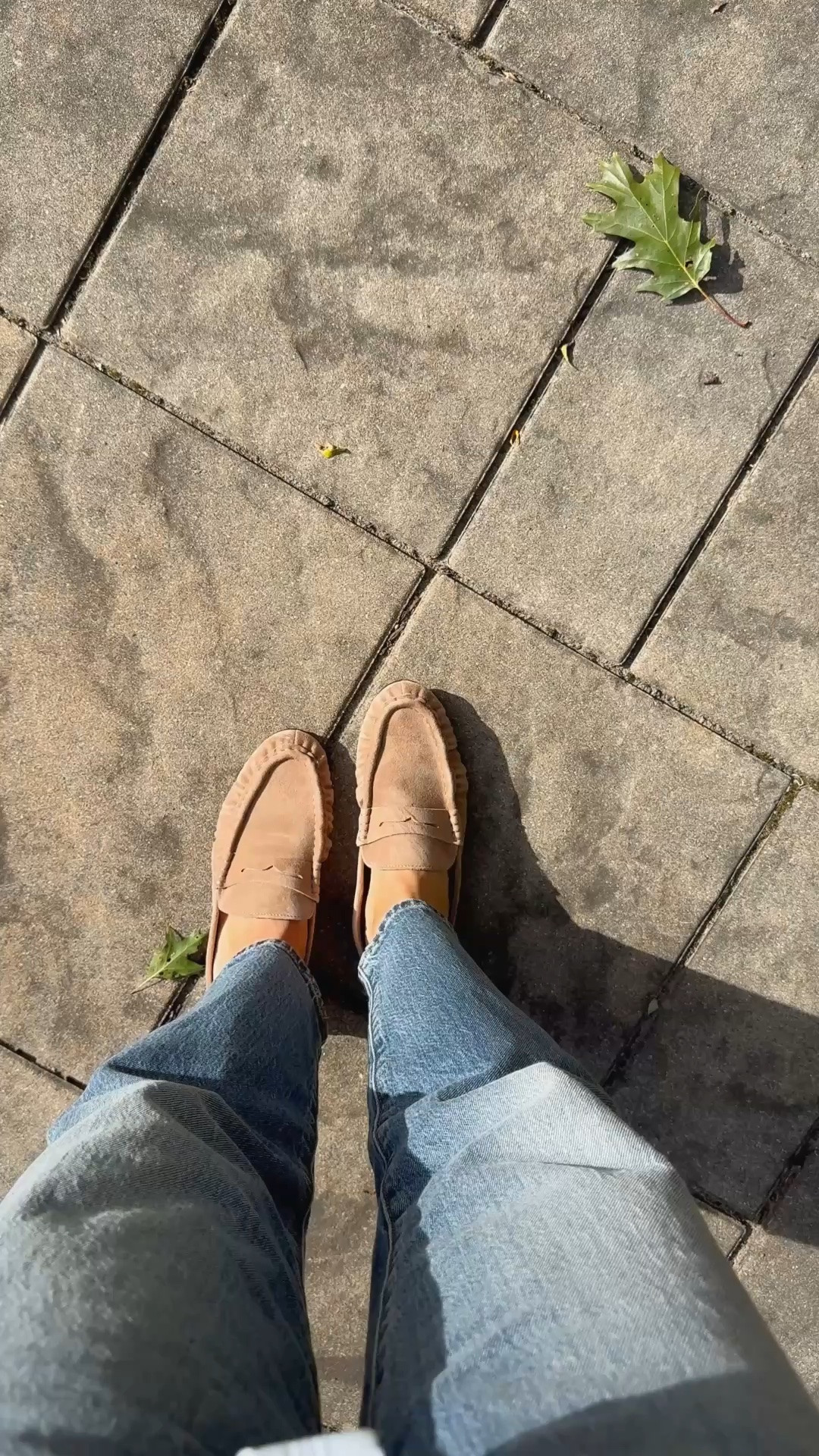 My fall 2026 shoe! Steve Madden loafer mule. Just goes with everything and I can wear all day.

#LTKOver40 #LTKSeasonal