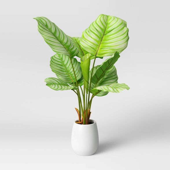Faux Large Arrowroot in Pot White - Opalhouse™ | Target