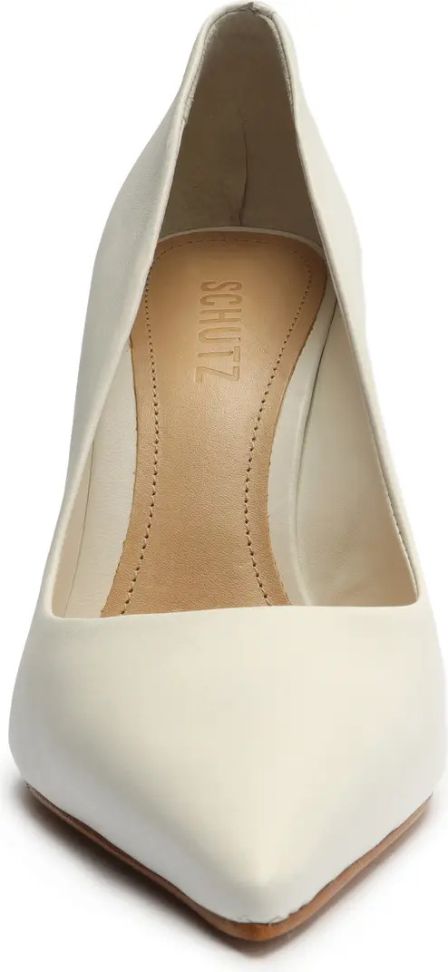 Lou Pointed Toe Pump (Women) | Nordstrom