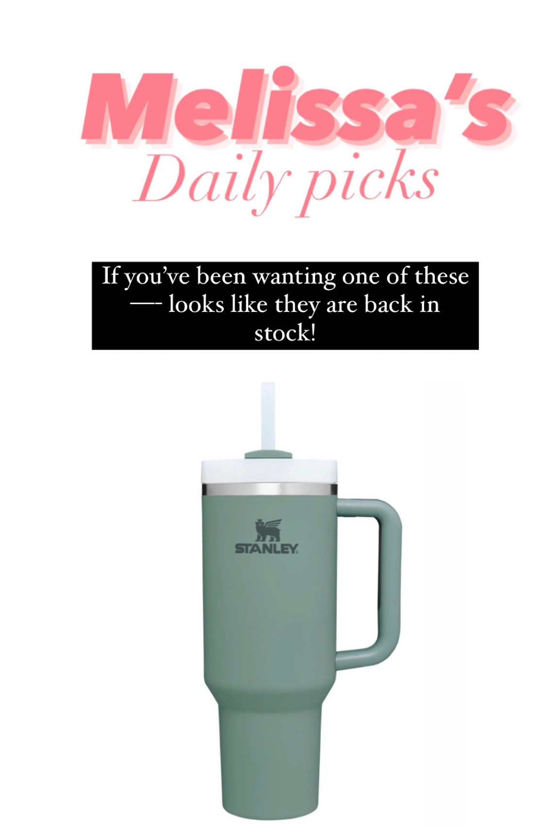 Stanley cups back in stock! 

#LTKGiftGuide #LTKhome #LTKunder100