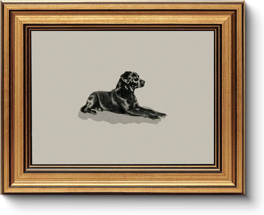 HUARCEY Gold Framed Vintage Wall Art Black Dog Wall Decor Minimalist Animal Art Pictures Room Dec... | Amazon (US)