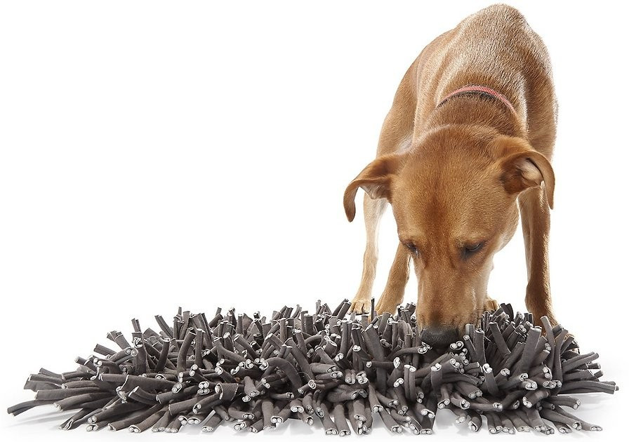 PAW5 Wooly Snuffle Dog Feeding Mat | Chewy.com