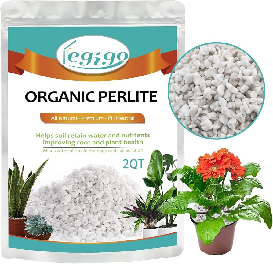 Legigo 2 Quarts Organic Horticultural Perlite for Plants Indoor- Natural Horticultural Soil Addit... | Amazon (US)