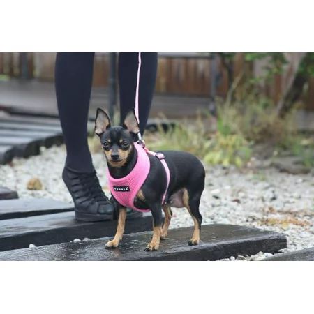 Puppia Soft Dog Harness, Pink, Small | Walmart (US)