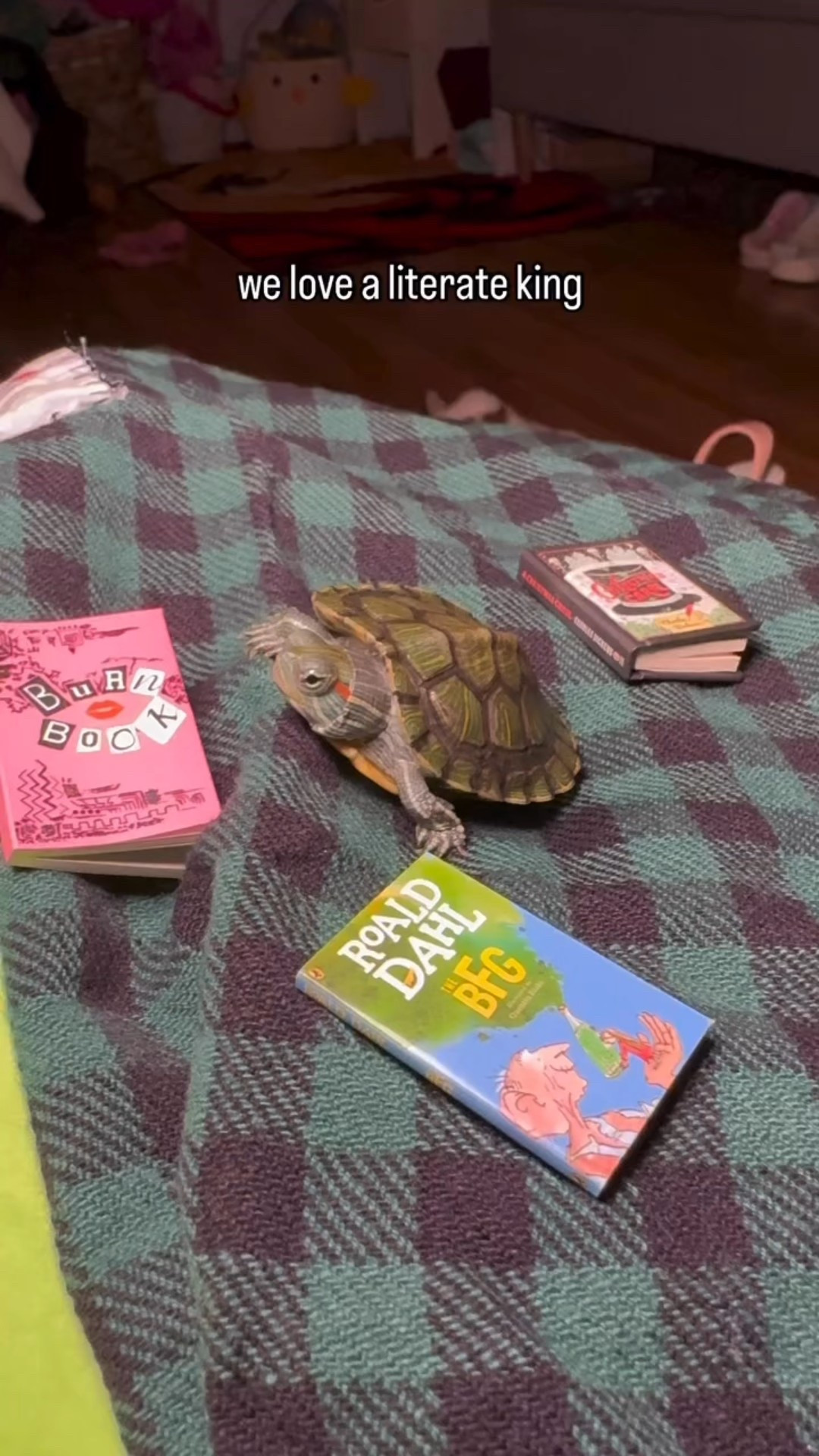 MINI BOOOOOOKS!!'

#LTKFindsUnder50