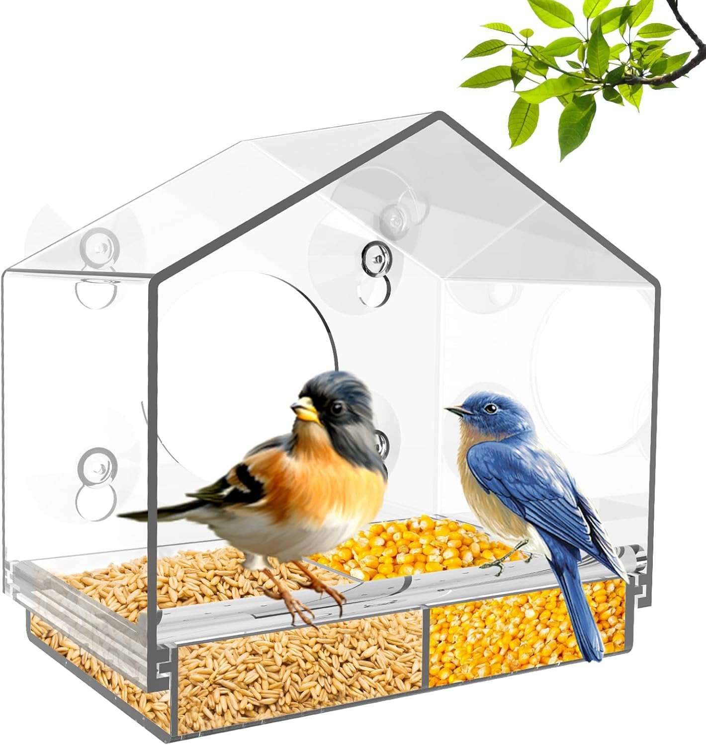 Window Bird Feeders with Strong Suction Cups, Acrylic Clear Birds Feeders with Detachable Seed Tr... | Amazon (US)