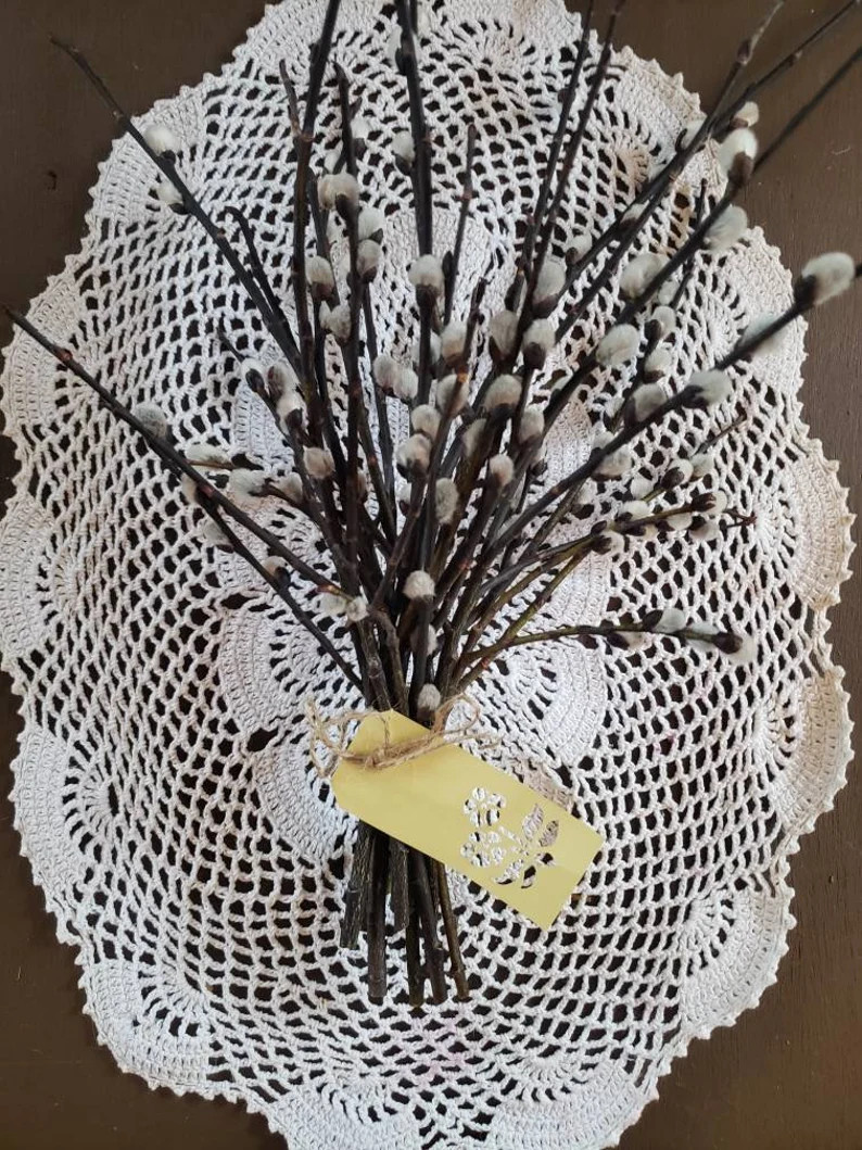 Pussy Willow Bunchesreal | Etsy Canada | Etsy (CAD)
