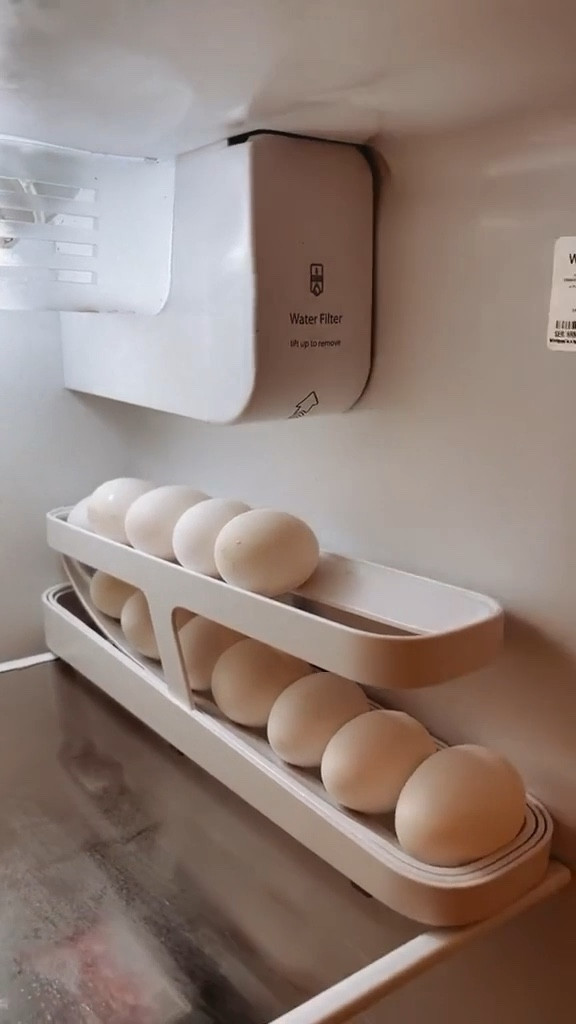 YouCopia Rolldown Refrigerator Egg Dispenser