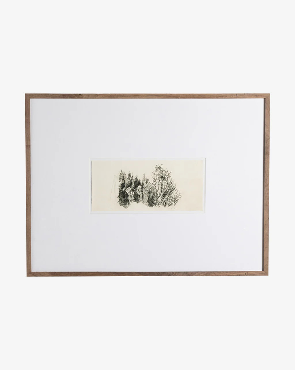 Shrub Sketch | McGee & Co.