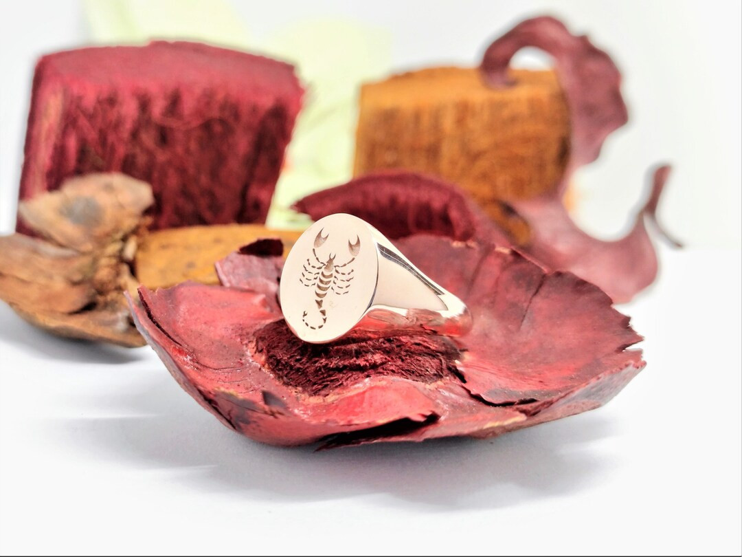 Zodiac Signet Gold Signet Ring Personalized Ring for - Etsy | Etsy (US)