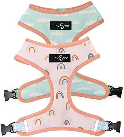 Cute Reversible Dog Harness Walking Halter - Best Designer Pet Harnesses for Medium Dogs - Padded... | Amazon (US)