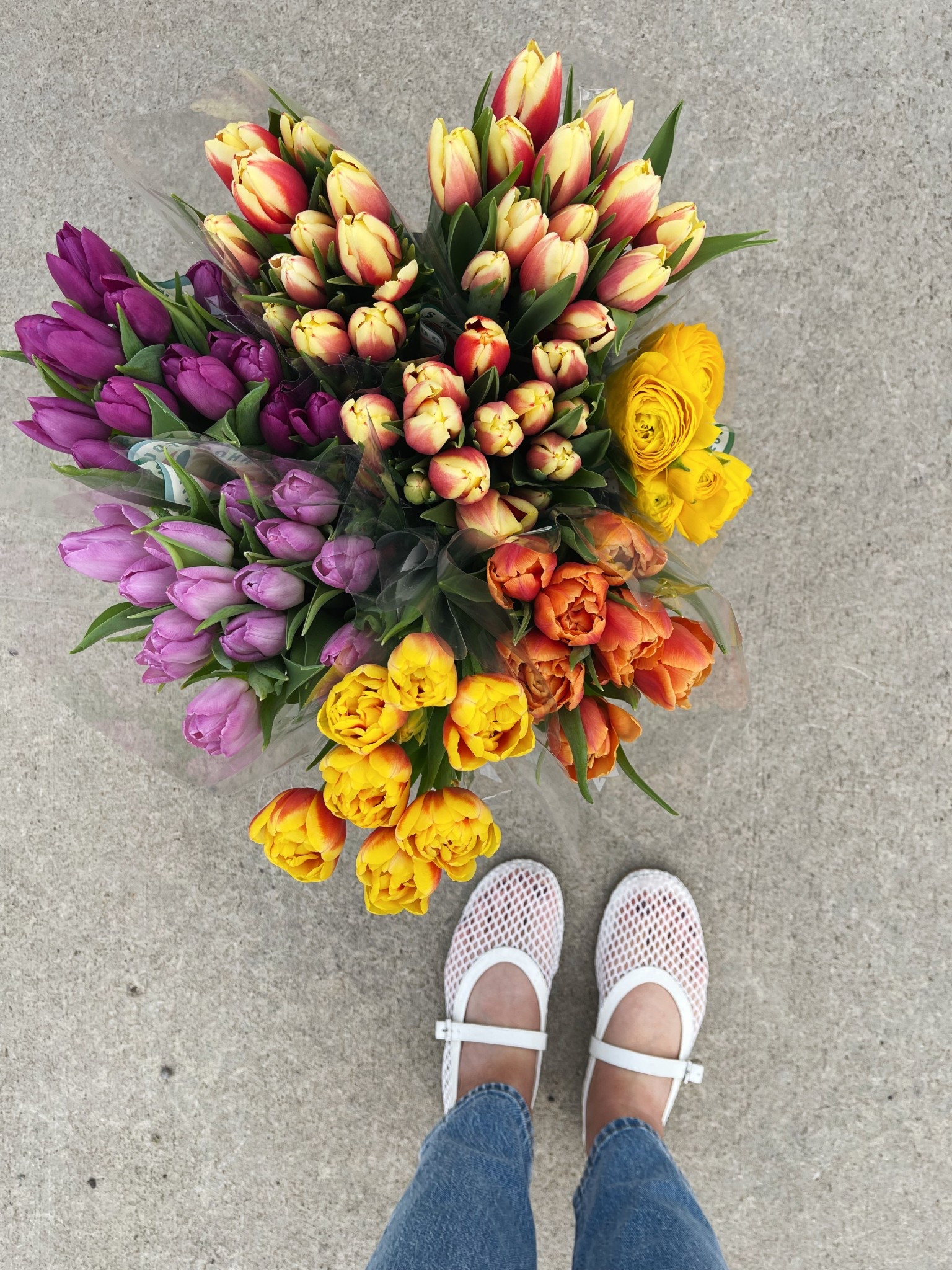 Cutest spring shoes!!! I’ve been wearing them everywhere. I linked a duplicate that it is identical and a great ion of the price! 

#cuteshoes #springshoes #ltkshoes #ltkdupe #ltkshoecrush 

#LTKFindsUnder50