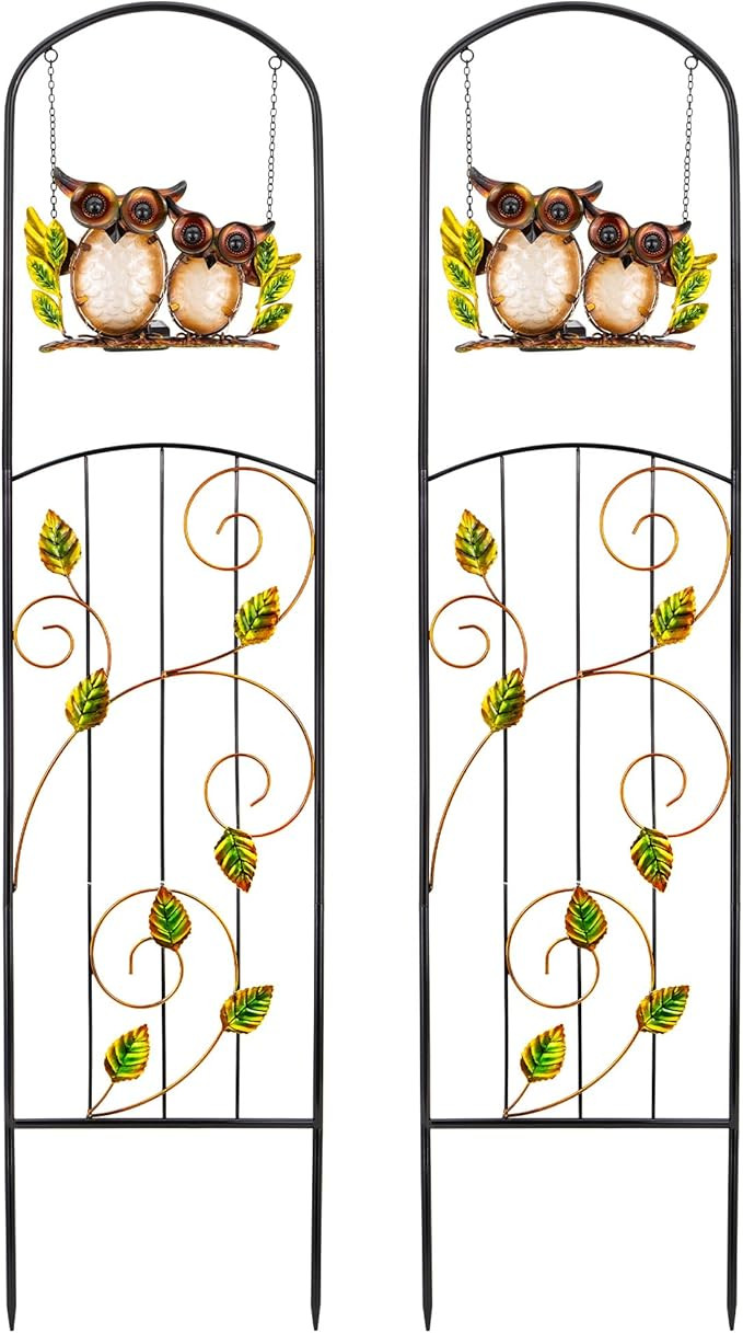 Solar-Powered Iron Plant Trellis with Lights,Voumsil Outdoor Garden Climbing Plant Support, Weath... | Amazon (US)