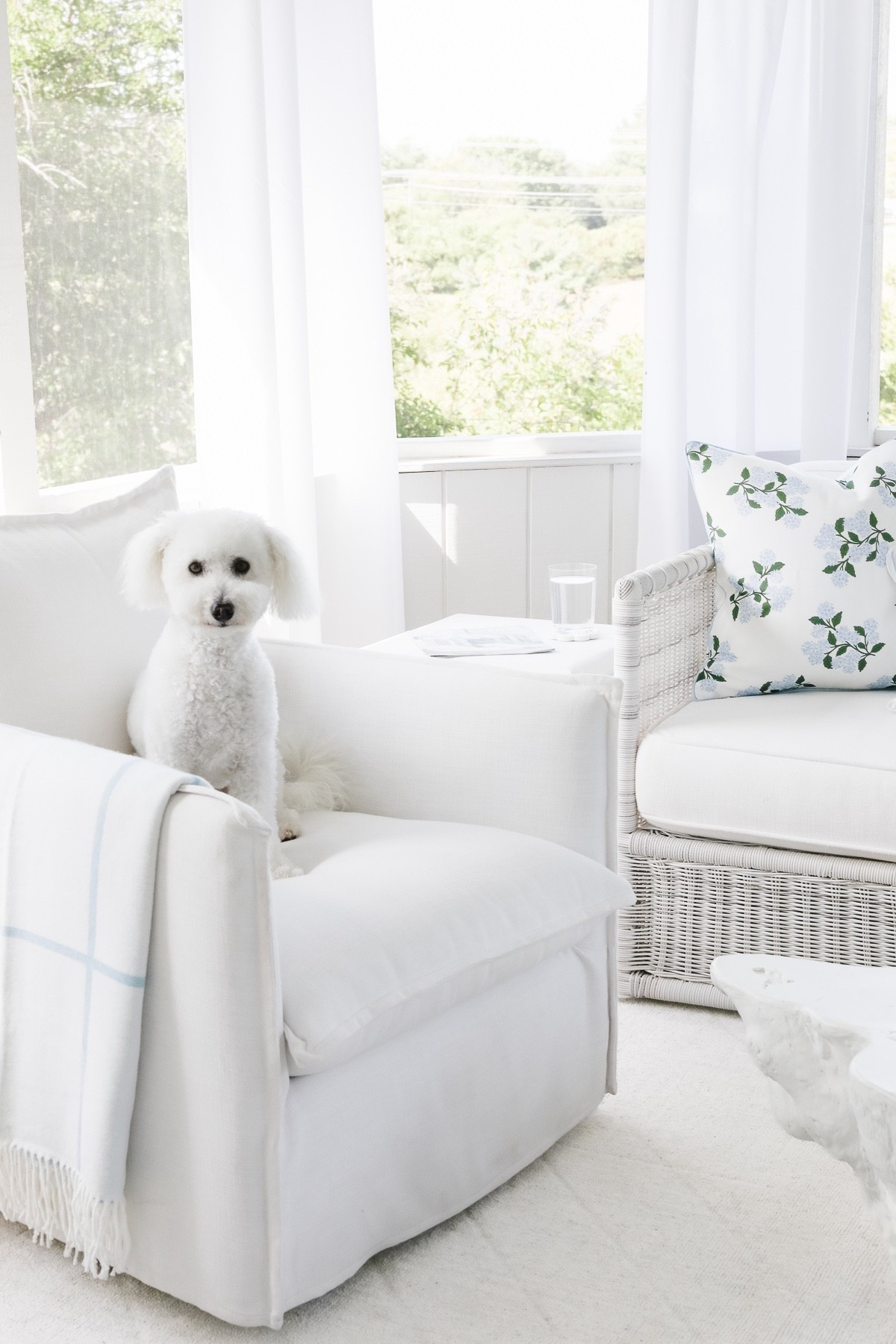 Has Teddy shared his favorites with you yet? 🐾 From cozy must-haves to toys he can’t get enough of, we’ve rounded up his latest pet picks — all tried, tested, and tail-wag approved!

#LTKPets #LTKStyleTip #LTKFamily