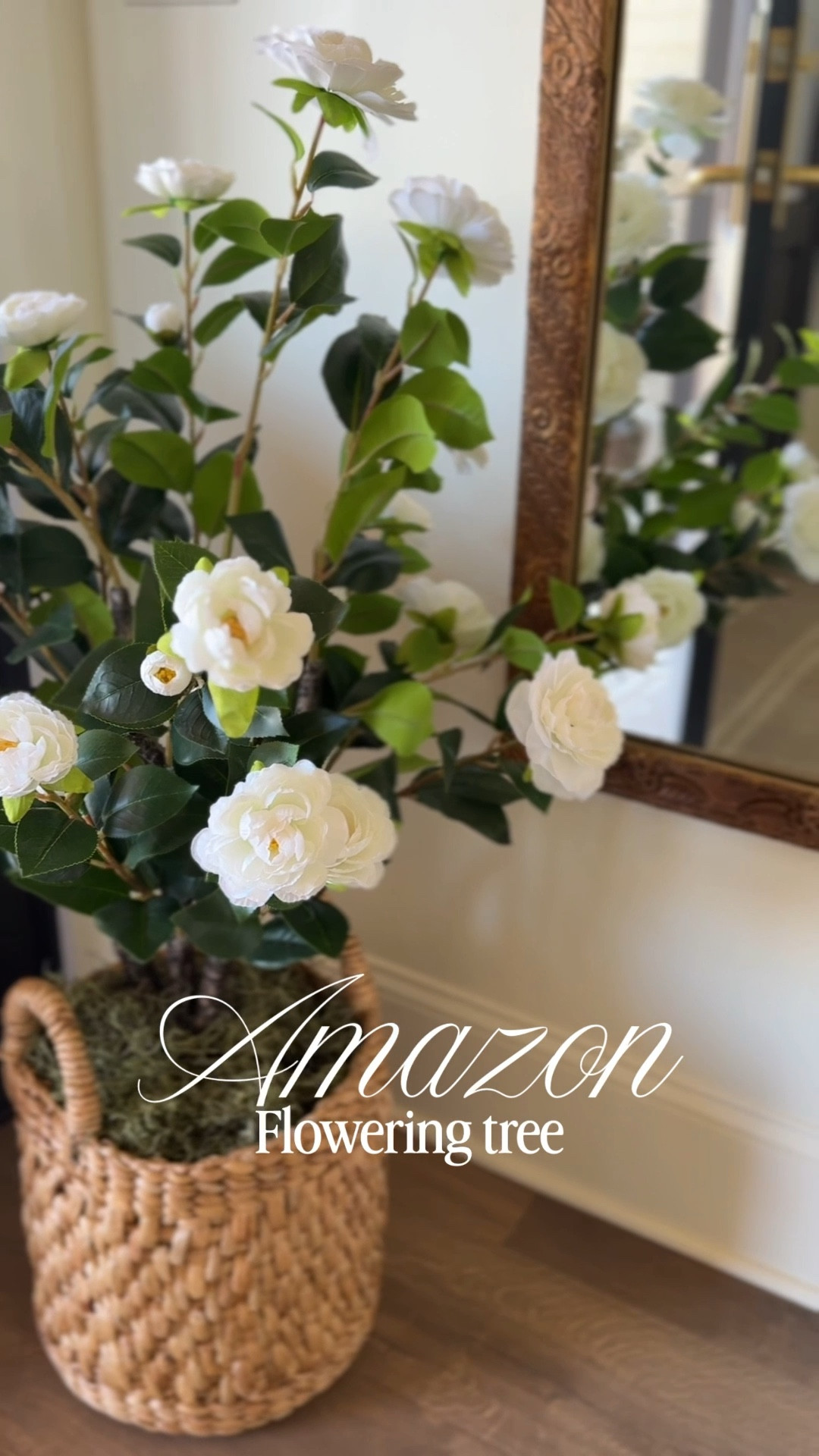 I bought these camellia trees last spring from Amazon for our home and porch and loved them so much I had to share them again. They come in a few colors, but the white blooms sold out quickly last year.

You can style them outside on a porch or tuck one into a corner indoors like I did here. I set mine in a woven basket from Hobby Lobby and added a little Spanish moss to make it feel more natural.

It may be snow and ice outside… but I’m already dreaming of spring 🤍

#LTKSeasonal #LTKHome