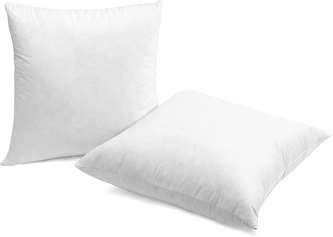 SNUG&COZY Luxury Goose Down Feather Pillow Inserts - 20x20IN, Double Layered Down-Proof Design, U... | Amazon (US)