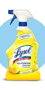 Lysol Laundry Sanitizer Additive, Bacteria-Causing Laundry Odor Eliminator, Detergent Additive, C... | Amazon (US)