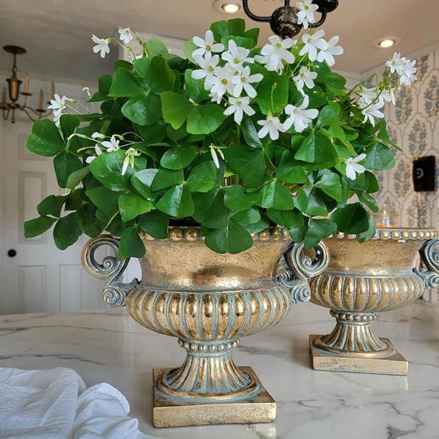 Double Handle Pedestal Urn | Antique Farm House