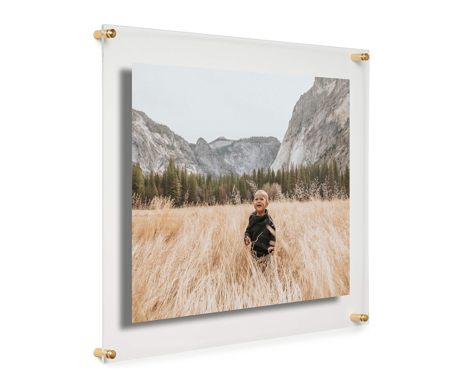 Cool Modern Frames Clear Floating Double Panel Acrylic Picture Frame, 16x20-Inch, Gold Hardware | Amazon (US)
