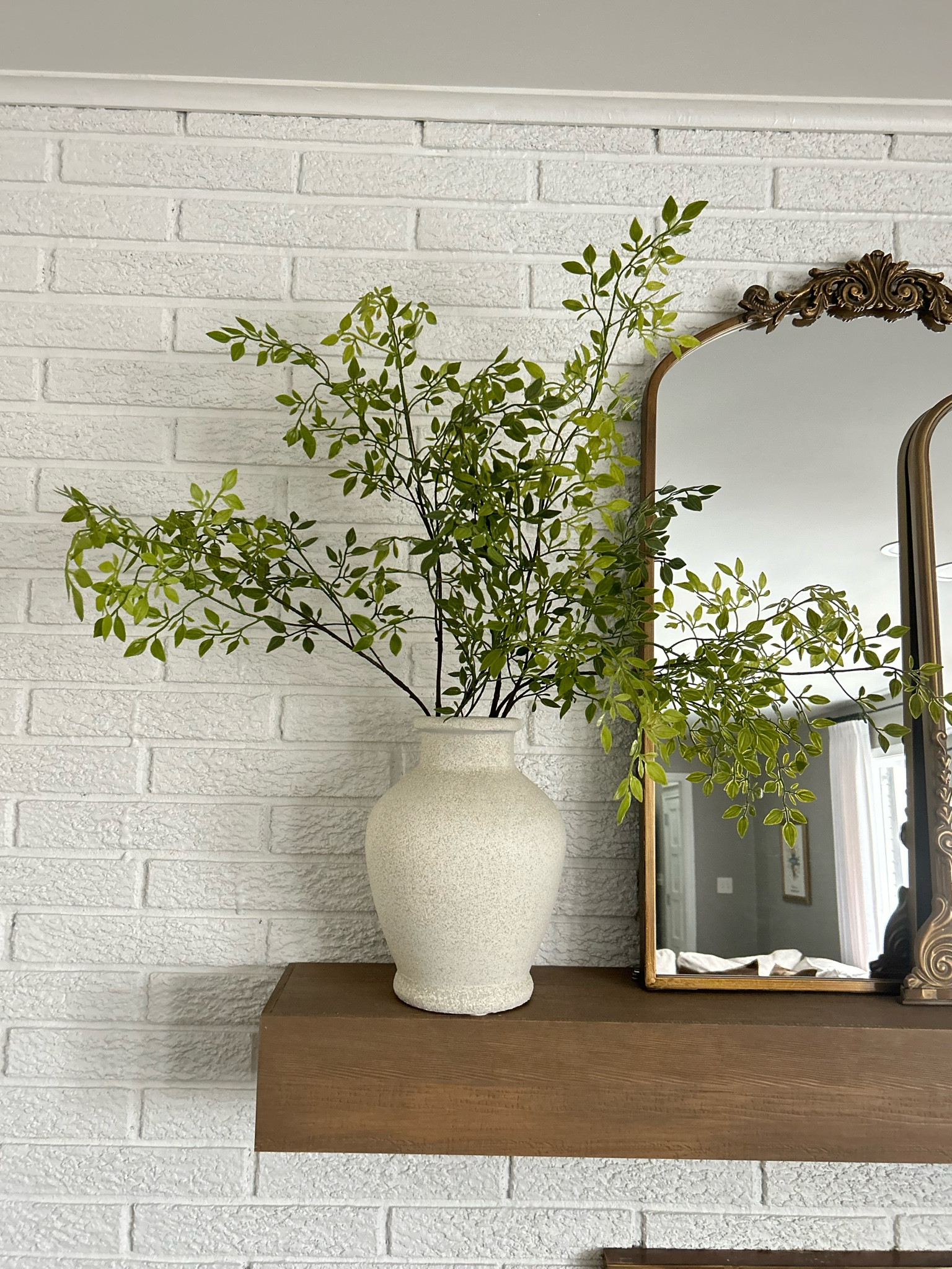 Favorite Amazon Stems

#LTKU #LTKstyletip #LTKhome