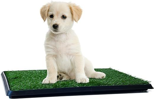 Artificial Grass Bathroom Mat for Puppies and Small Pets- Portable Potty Trainer for Indoor and O... | Amazon (US)