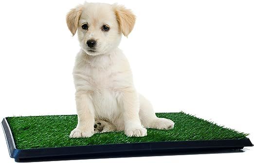 Artificial Grass Bathroom Mat for Puppies and Small Pets- Portable Potty Trainer for Indoor and O... | Amazon (US)