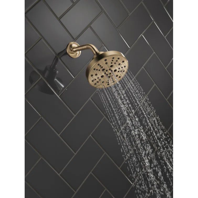 Multi-Function Adjustable Shower Head | Wayfair North America