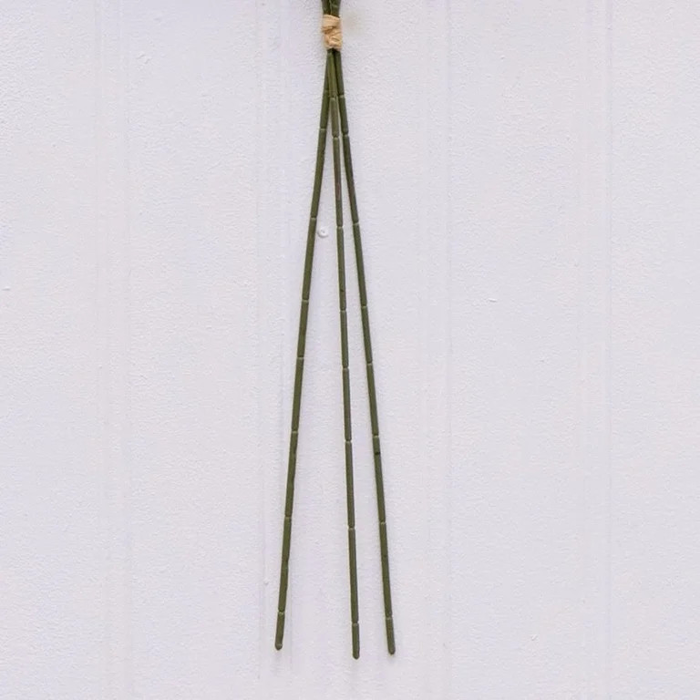 Better Homes & Gardens 33"H Artificial Indoor Dried Rice Stem Bundle, Set of 3 | Walmart (US)