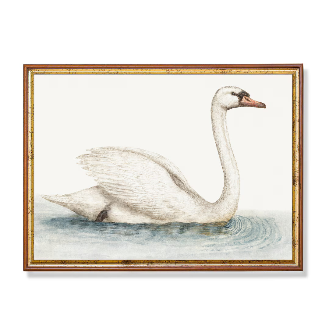Vintage Swan Painting Antique Bird Print White Swan Neutral Farmhouse Decor Digital Download Prin... | Etsy (US)