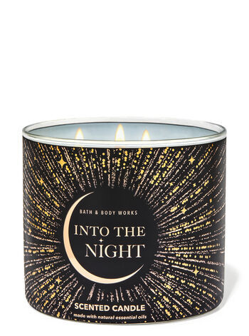 Into the Night


3-Wick Candle | Bath & Body Works