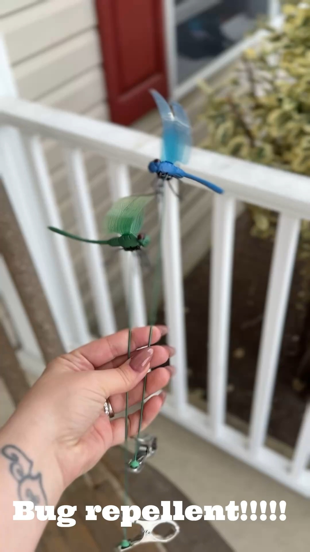 The best bug repellent I’ve ever used!!!! And I grabbed these right from Amazon!!!! 

#summer #bugrepellent #flyrepellent

#LTKHome #LTKSeasonal #LTKmomlife