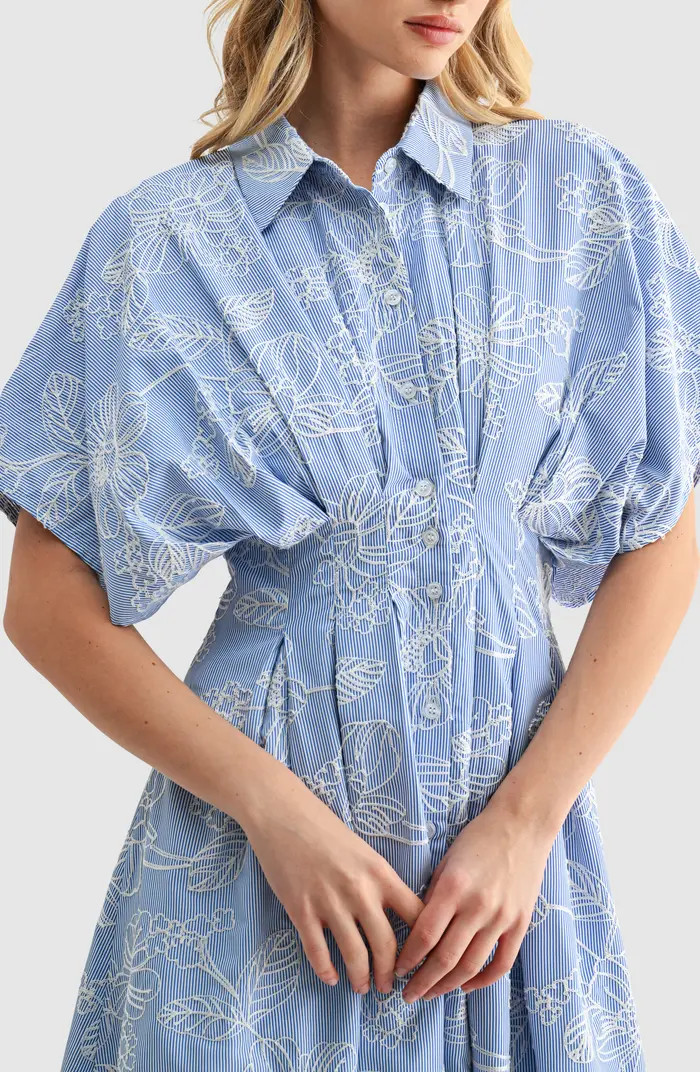 Embroidered Stripe Midi Shirtdress | Nordstrom