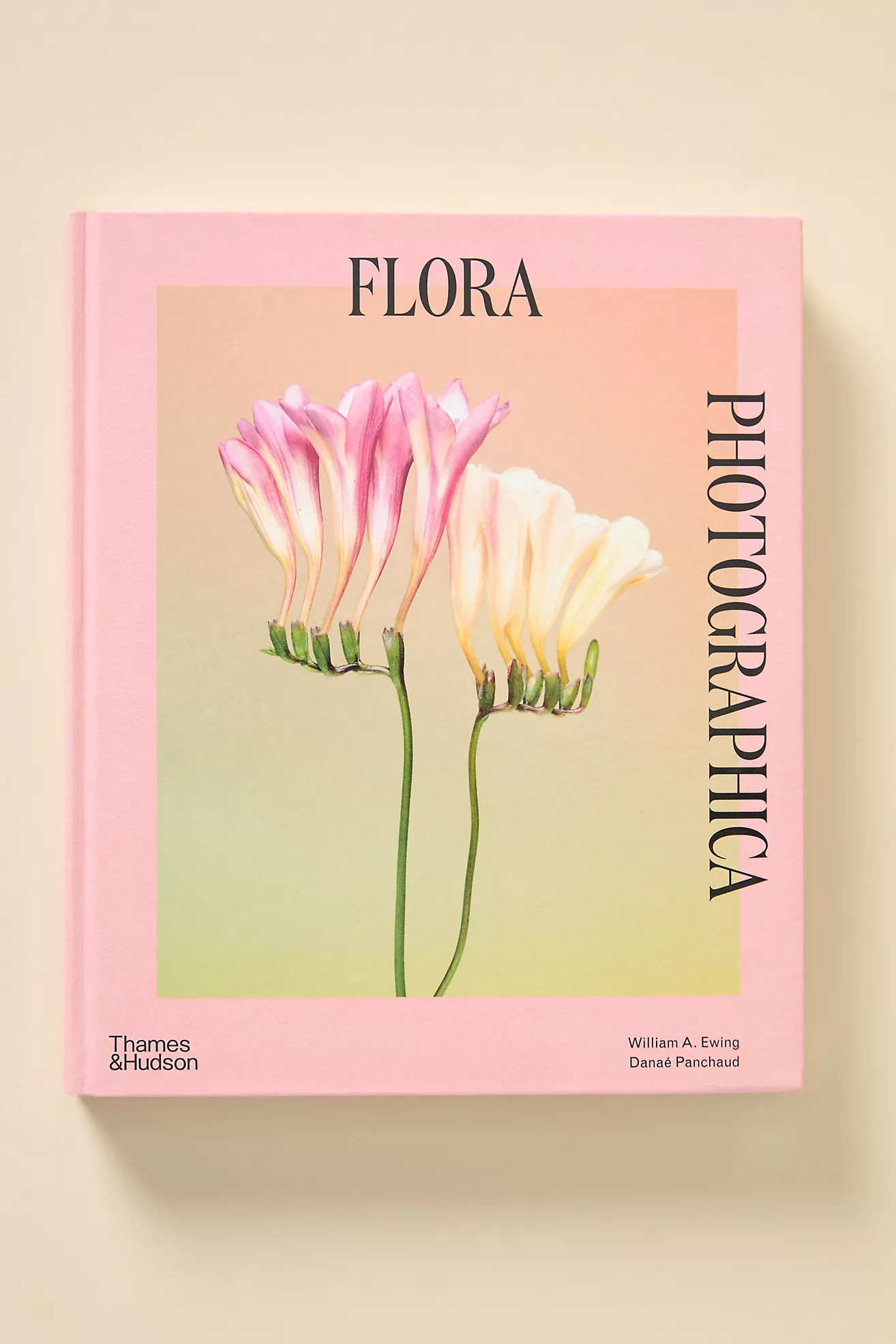 Flora Photographica: The Flower in Contemporary Photography | Anthropologie (US)