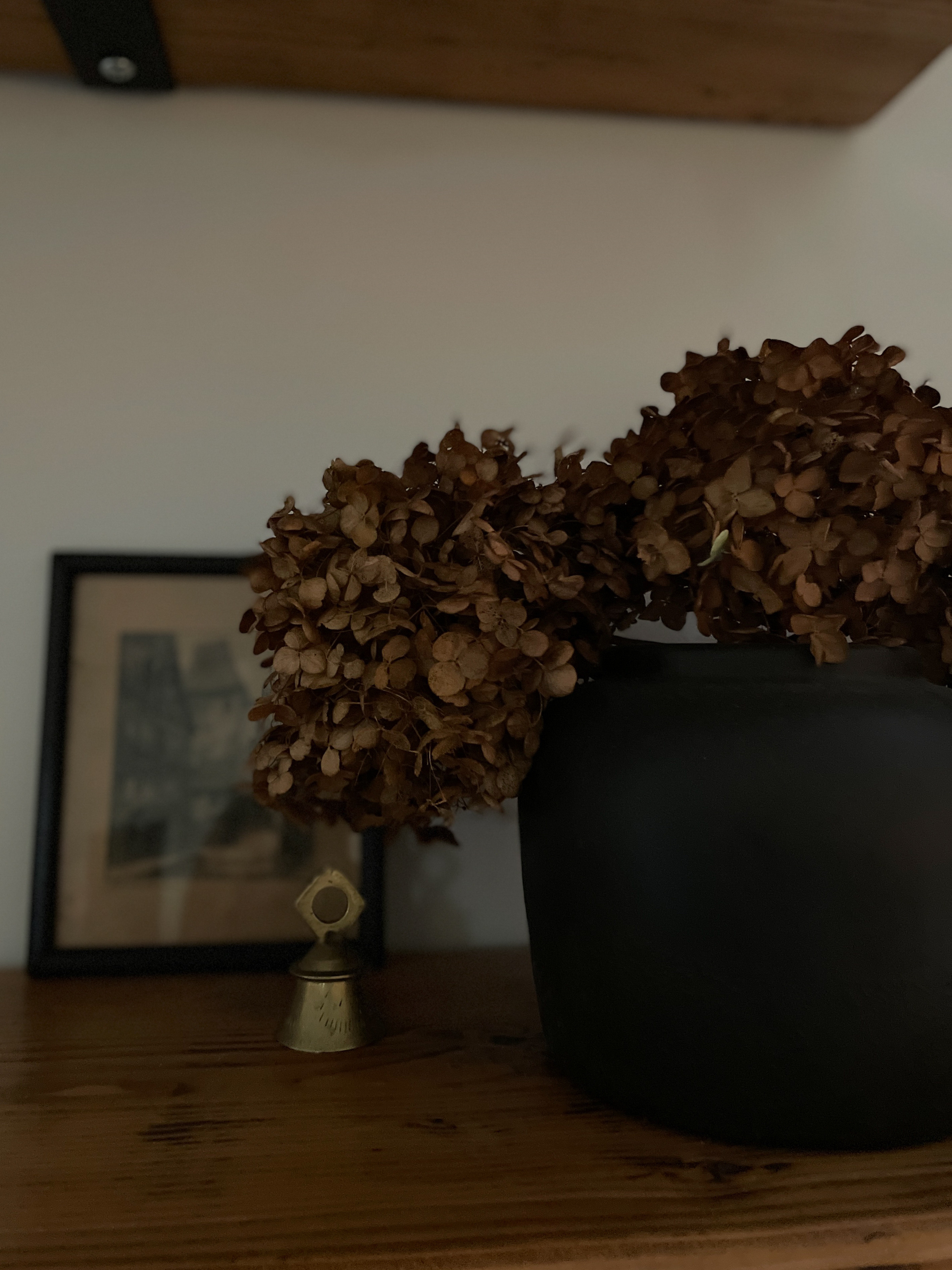 A black vase is a perfect organic backdrop for dried hydrangeas.  

Black vase.  

#LTKFindsUnder50 #LTKSeasonal #LTKHome