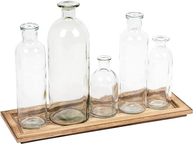 Creative Co-Op DA2672 Set of 5 Vintage Bottle Vases on Wood Tray | Amazon (US)