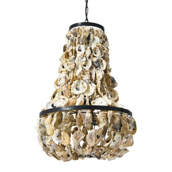 Paradiso Metal and Draped Oyster Shell Chandelier | Wayfair North America