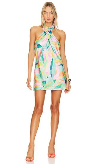 Jasmine Mini Dress in Tropicana Burst Luxe | Revolve Clothing (Global)