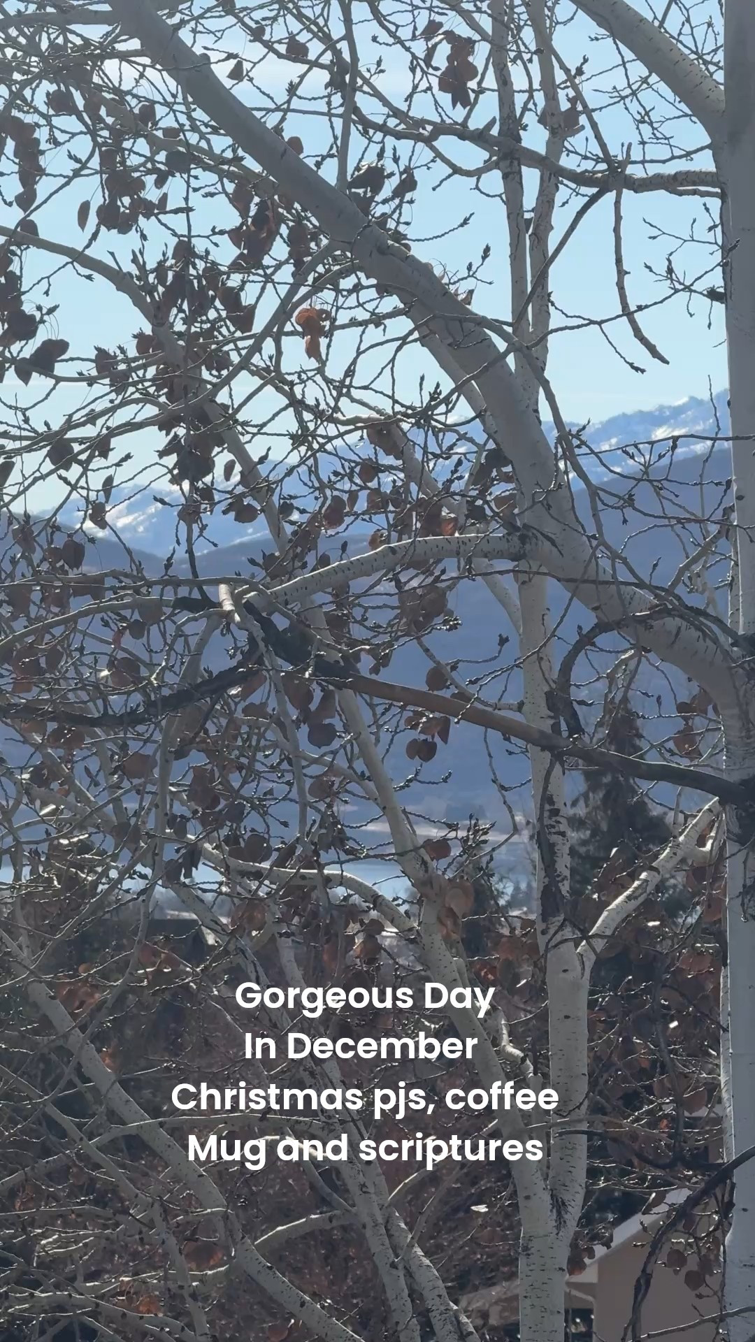 God created a gorgeous Day ☕️
Get out and enjoy it and him for 15-30 min… 
You won’t believe what it will do for your spirit❤️🎄🙏🏻

Christmas pj’s Printfresh
Tts in me

Slippers katydid 

Mug Anthropologie

Daily devotional - Jesus calling 


#LTKGiftGuide #LTKHoliday #LTKdayinmylife