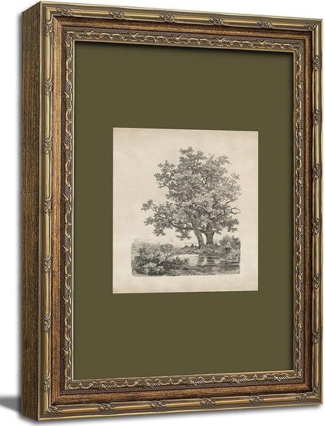 Gold Framed Wall Art Vintage Tree Sketch Wall Art Antique Oak Tree Forest Etching Wall Decor Pict... | Amazon (US)