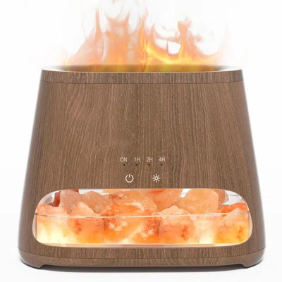 2-In-1 Himalayan Salt Lamp Diffuser, Cool Mist Humidifier, Aromatherapy & Himalayan Salt Therapy, 100% Pure Himalayan Salt, Ultrasonic Essential Oil D | Wayfair North America