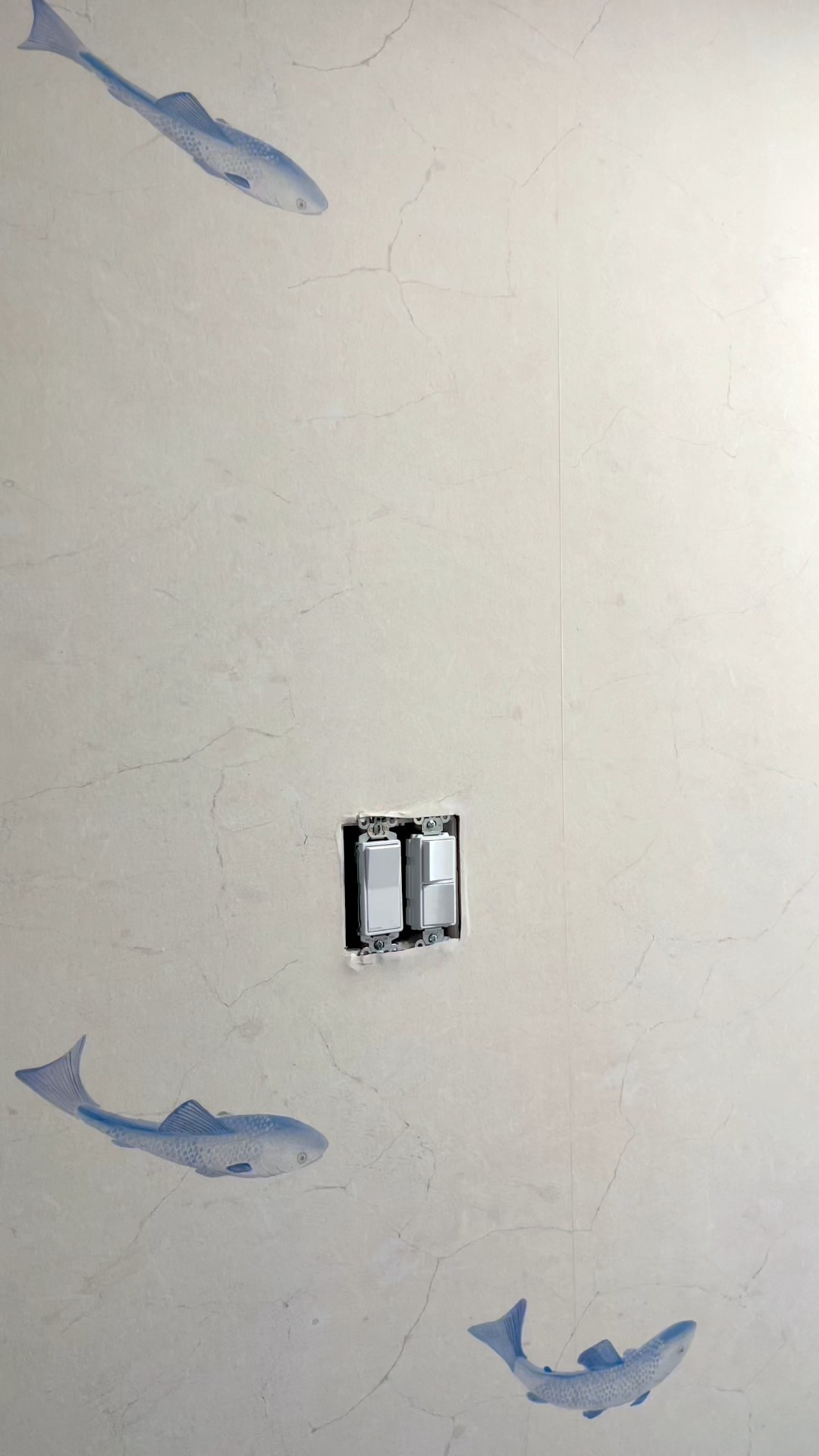 Upgrade your light switch covers #brassswitchcover

#LTKHome