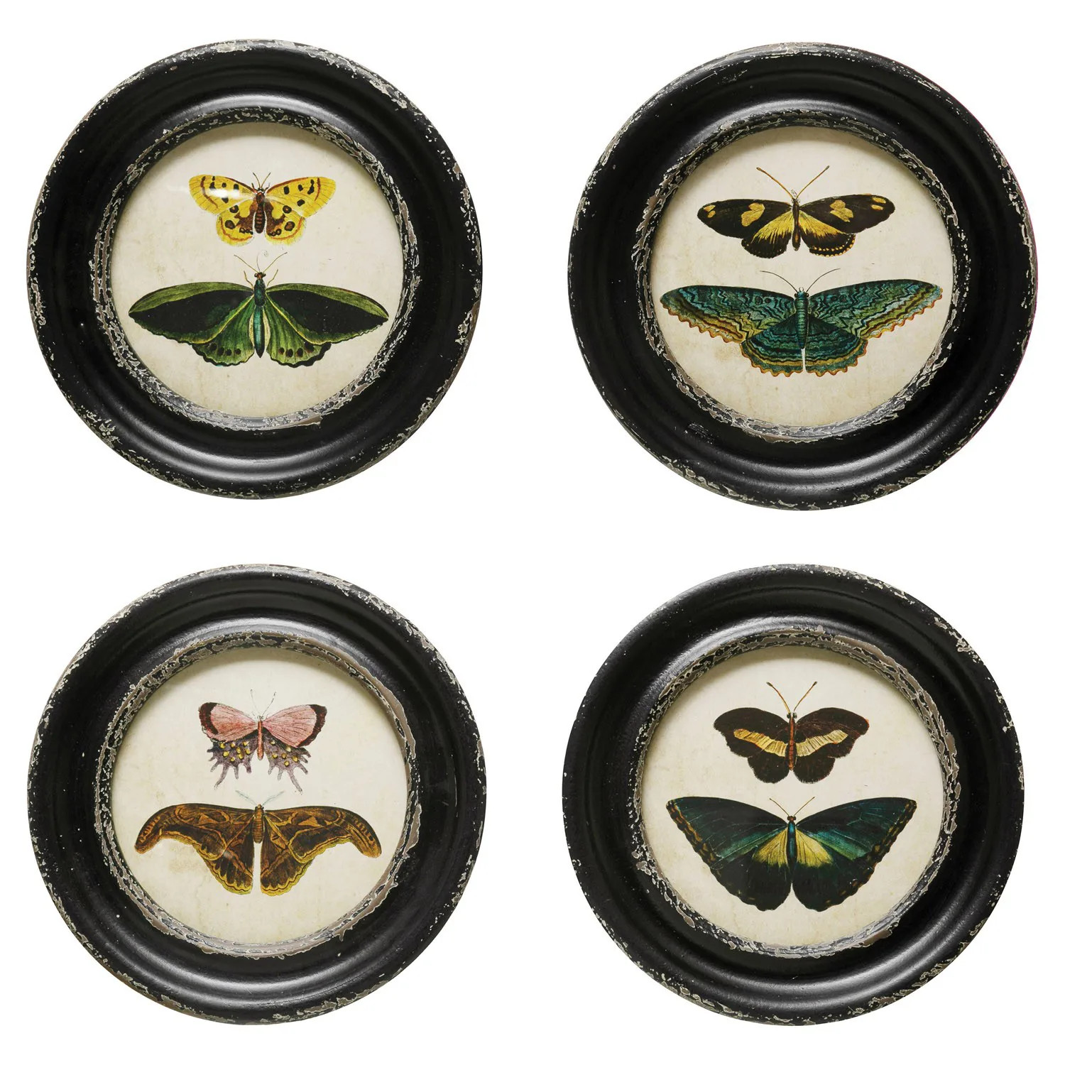 Verity Traditional Green Butterfly Black Frame Multipanel Illustration - 10x10 | Kathy Kuo Home