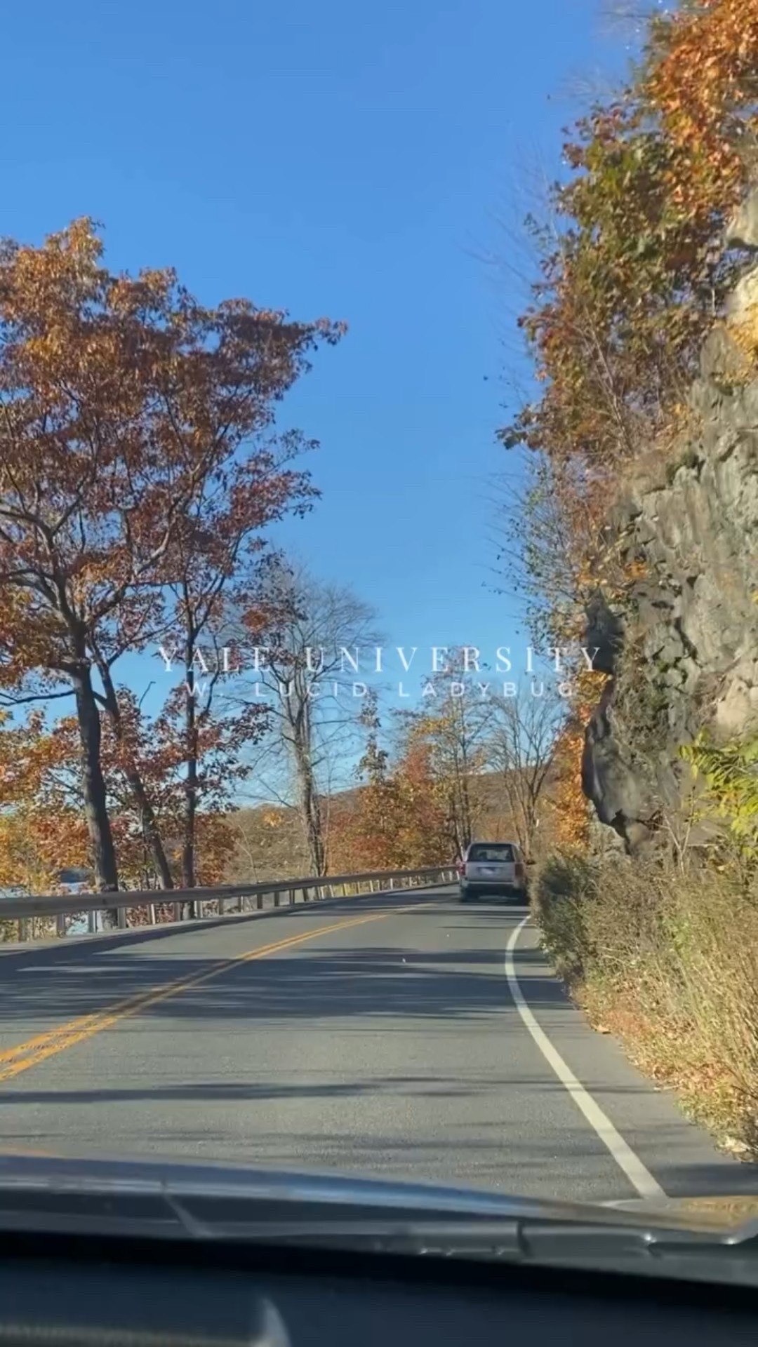 Fall stroll @yale 🍂✨ #fall #yale #fallinlove #falloutfit #vintage #vintagestyle #filmphoto