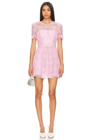 self-portrait Guipure Lace Mini Dress in Pink from Revolve.com | Revolve Clothing (Global)